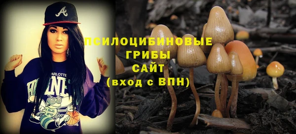 трава Баксан
